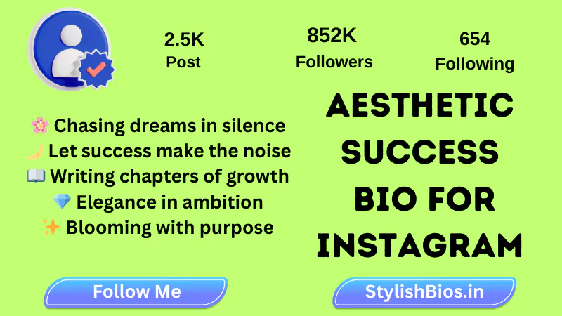 {700+} Best Success Bio For Instagram (2025) | Motivational Bio %count(title) aesthetic success bio for instagram