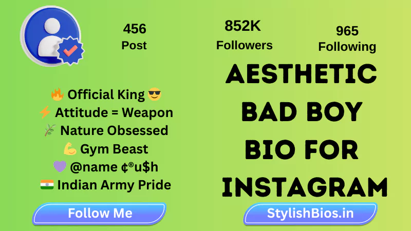 aesthtic bad boy bio for instagram