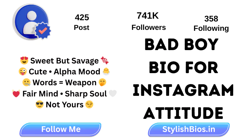 bad boy bio for instagram attitude