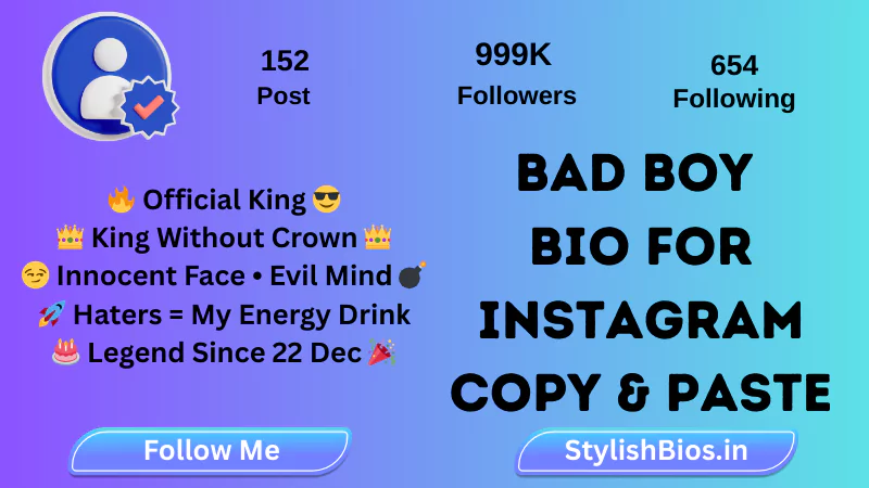 bad boy bio for instagram copy and paste