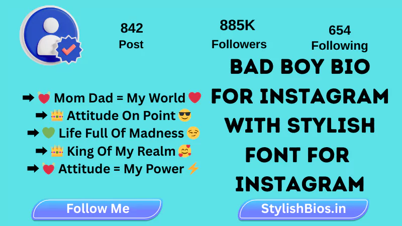 bad boy bio for instagram with stylish fonts