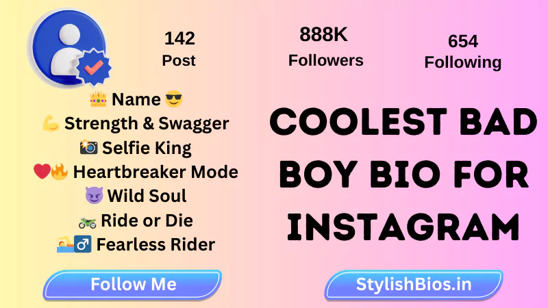 coolest bad boy bio for instagram