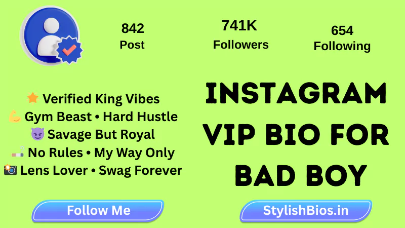 instagram vip bio for bad boy