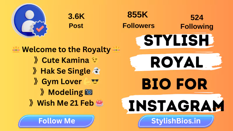 stylish royal bio for instagram