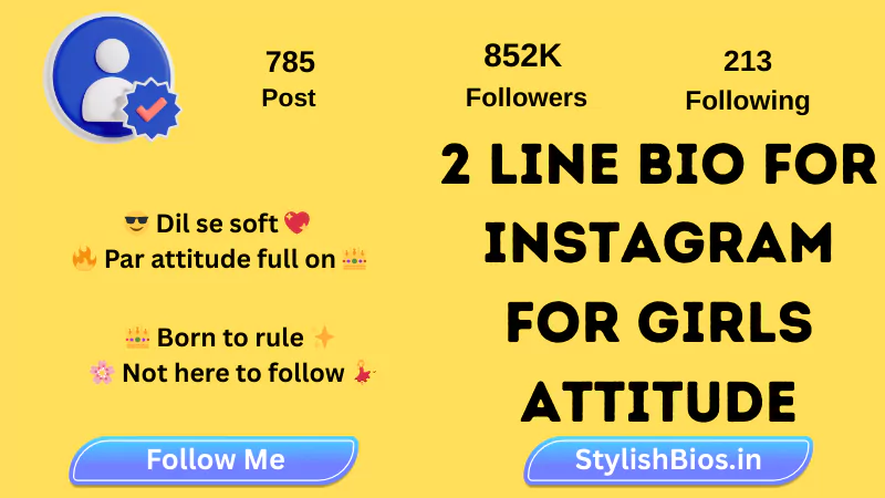 (300+) Best 2 line Bio for Instagram for Girls (Unique, Stylish & Attitude 2025) %count(title) 2 line bio for instagram for girls attitude