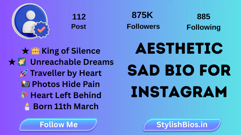 aesthetic sad bio for instagram