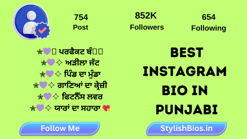best instagram bio in punjabi
