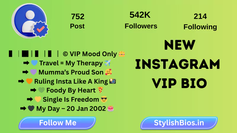 best instagram vip bio