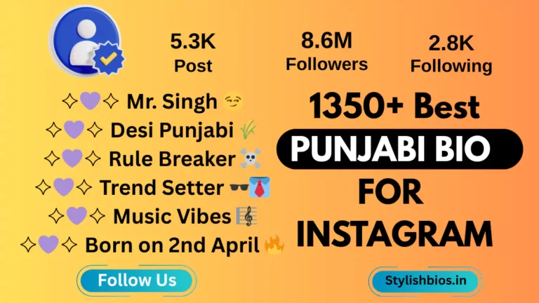 instagram bio in punjabi