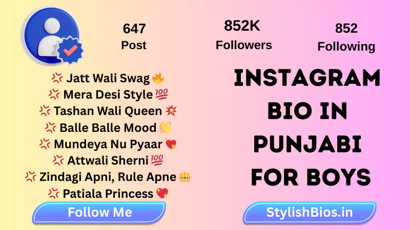 instagram bio in punjabi for boys