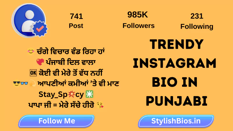 trendy instagram bio in punjabi