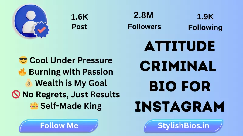 attitude criminal bio for instagram