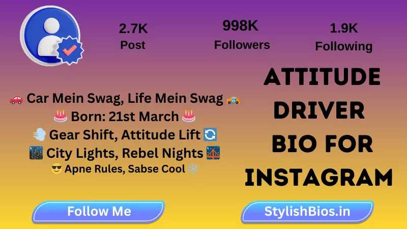 attitude driver bio for instagram