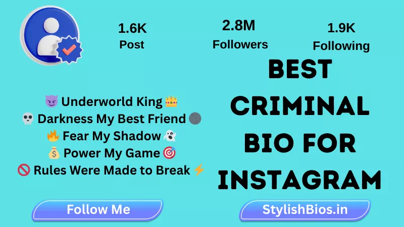 best criminal bio for instagram