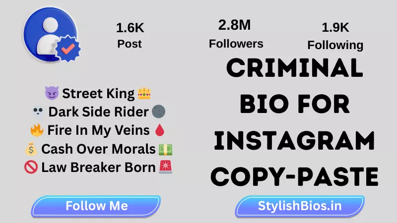 criminal bio for instagram copy and paste