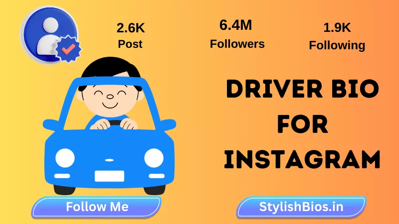 driver bio for instagram