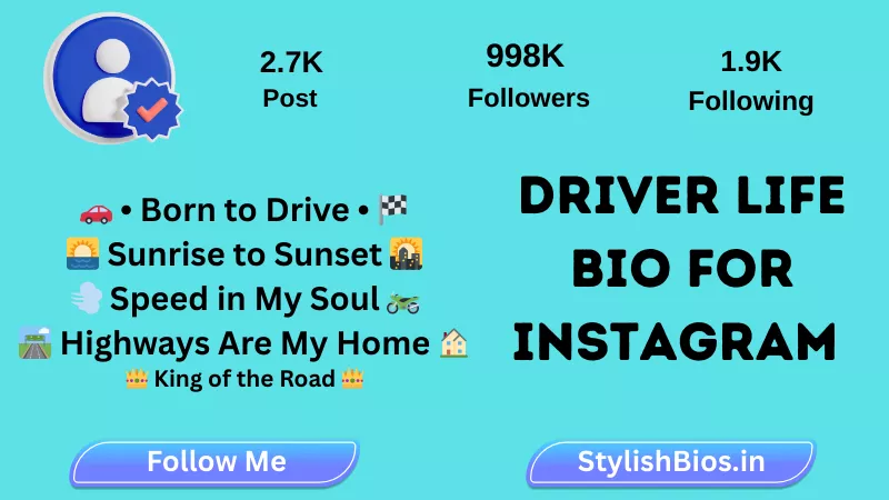 driver life bio for instagram