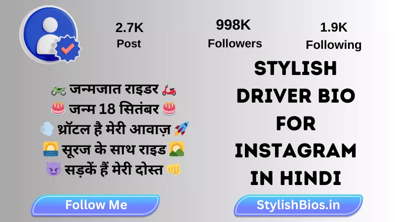 stylish driver bio for instagram in hindi