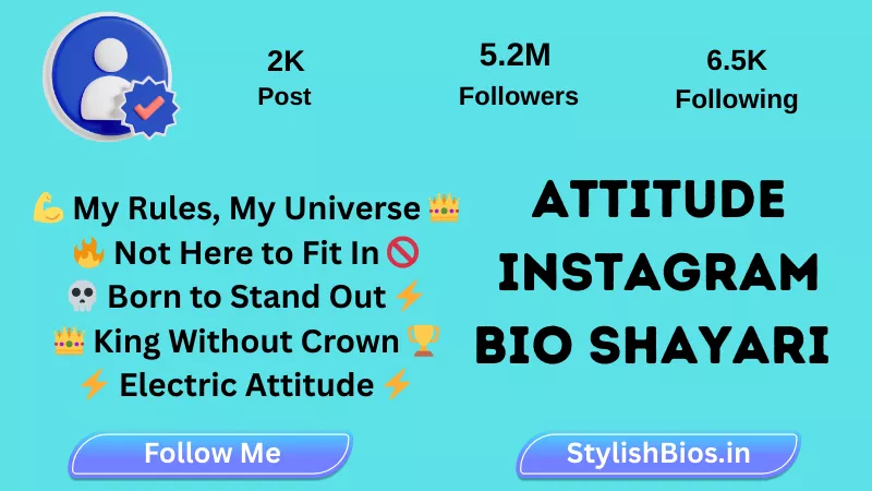 attitude instagram bio shayari