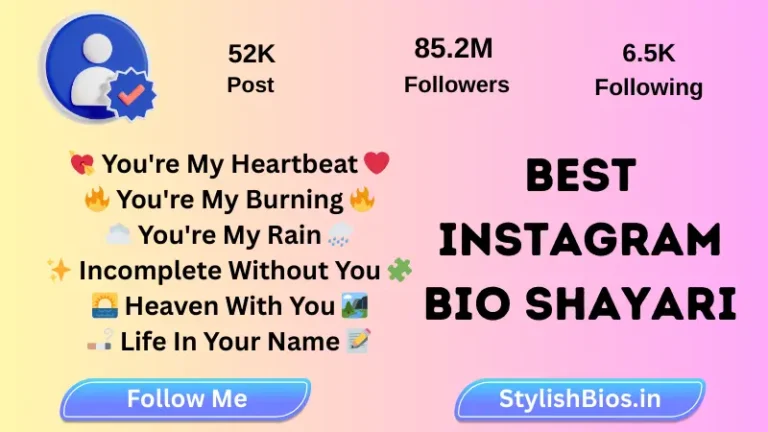 instagram bio shayari