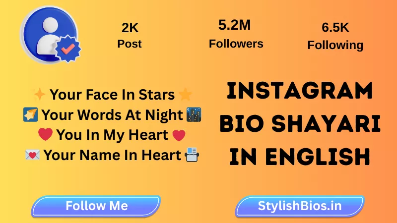 instagram bio shayari in english