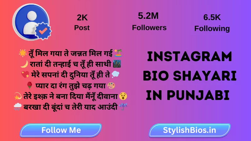 instagram bio shayari in punjabi