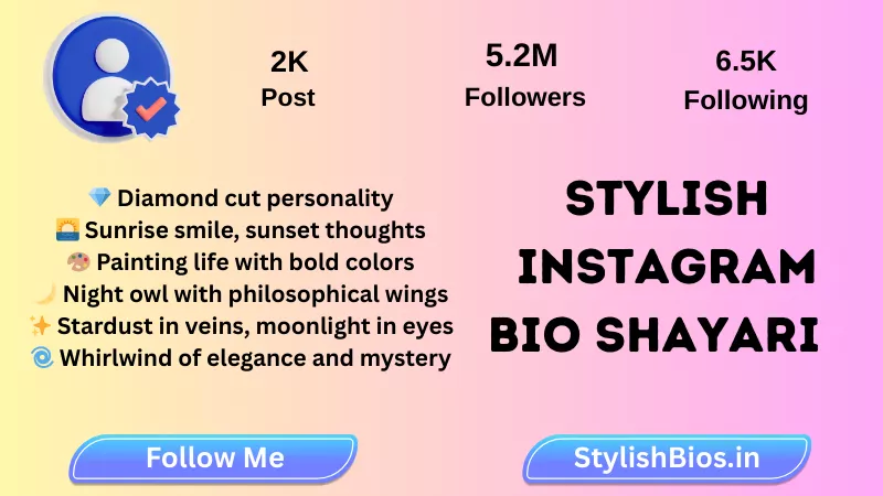 instagram stylish bio shayari