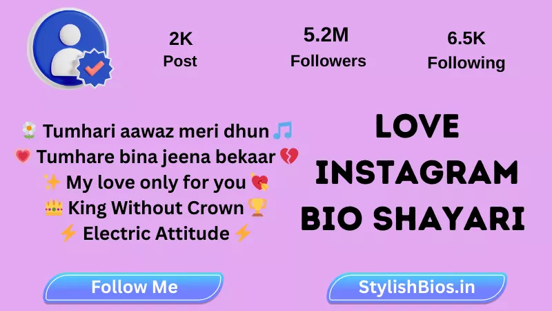 love instagram bio shayari