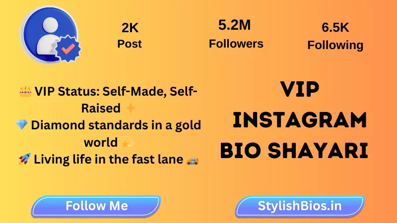 vip instagram bio shayari