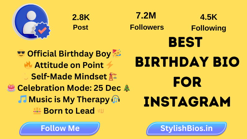 best birthday bio for Instagram