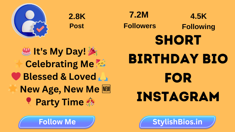 short birthday bio for Instagram